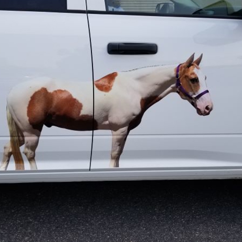 Vehicle Graphics